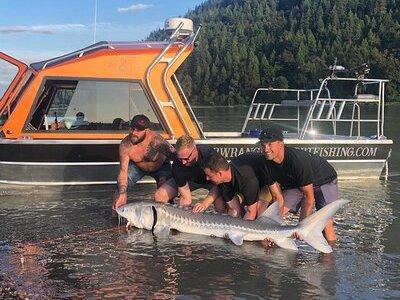 Sturgeon fishing on the Fraser river