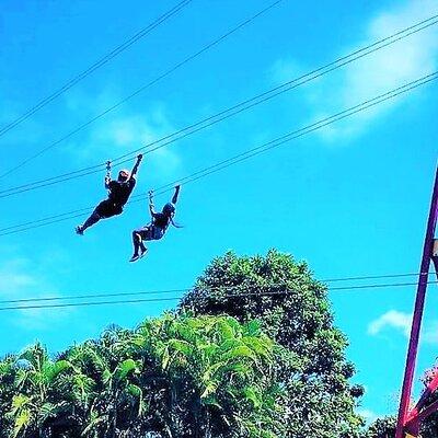 Half Day Tour in Rainforest Zipline Park with Transportation