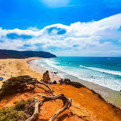 Wild and Wonderful West Coast Full Day Tour