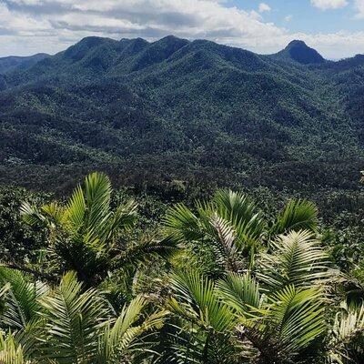 El Yunque Rainforest, Waterslides, and Beach Tour with Transport