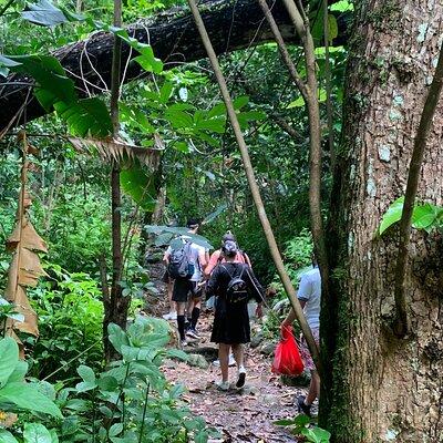 Rainforest River Nature Walk Adventure and Luquillo Beach