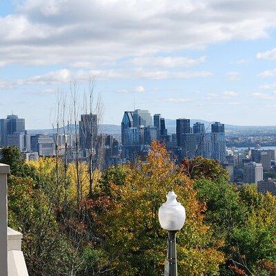 Small-Group Sightseeing Tour of Montreal