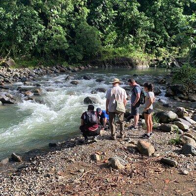  Full-Day Tour: El Yunque, Luquillo Beach, Bio Bay Night Kayaking