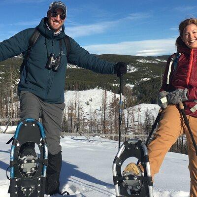 Yellowstone Snowshoe Safari from Bozeman - Private Tour