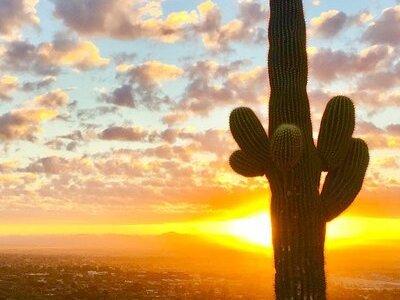 Stunning Sunset or Sunrise Guided Hiking Adventure in Phoenix