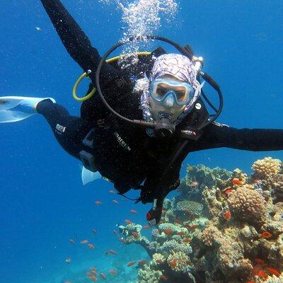 Excursion to Tiran Island by boat