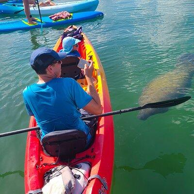 Mangroves, Manatees, and a Hidden Beach: Kayak Tour