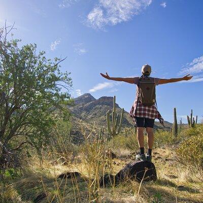 Scottsdale Desert Classic Guided Hiking Adventure