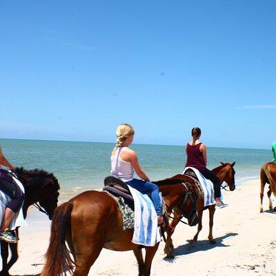 Horse Back riding Excursion