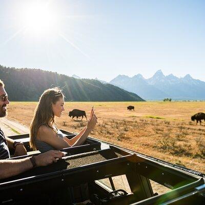 Sunset 4-Hour Grand Teton Wildlife Adventure