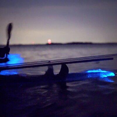 Florida Bioluminescence Clear Kayak Tour | Cocoa Beach (Kiwanis Island)