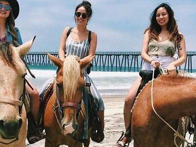 Horseback riding Rosarito beaches & Puerto Nuevo lobster 