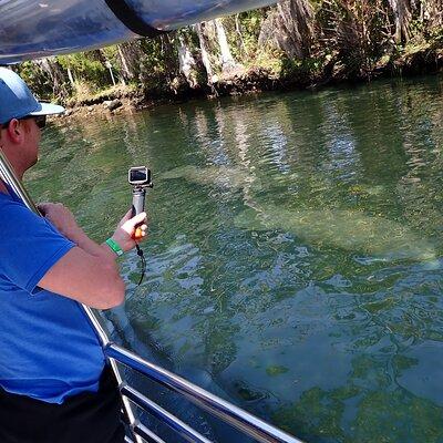 Crystal River Manatee Viewing Cruise