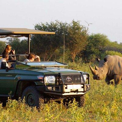 Full day - Hluhluwe Imfolozi Game Reserve 1 Day Tour From Durban 