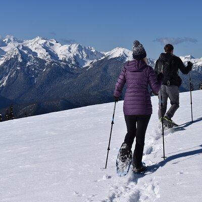 Hurricane Ridge Guided Snowshoe Tour in Olympic National Park