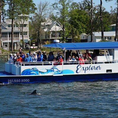 2-Hour Dolphin and Nature Eco Tour from Orange Beach