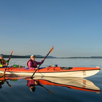 Guided Kayak Tour on San Juan Island