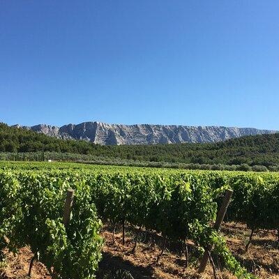 Short Day Tour around Aix en Provence and Wine Tasting 