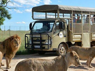 Lion & Safari Park