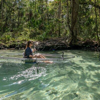 Explore The Chaz: Exclusive Clear Kayak Tours Near Crystal River