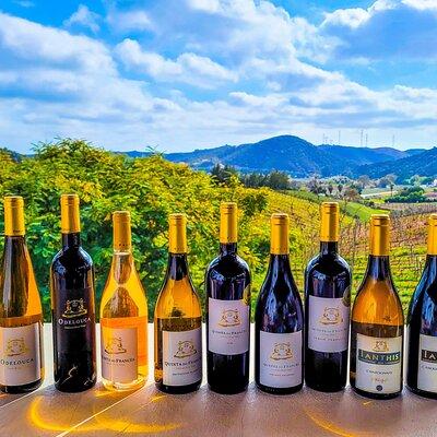 Small group Wine Tasting Tour from Lagos