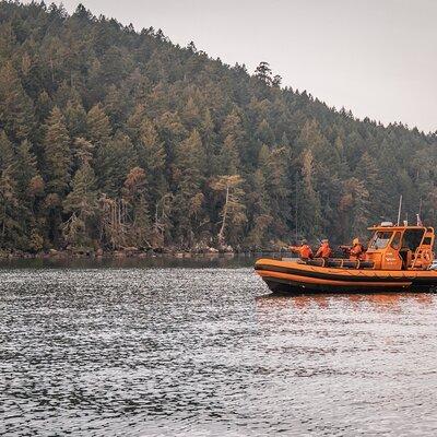 Whale Watching Nanaimo Open Boat Tour