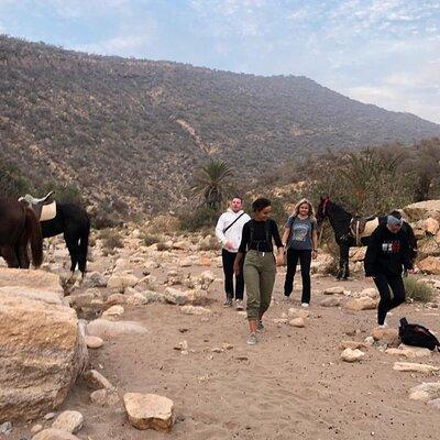 Full-Day Horseback Riding Experience with Lunch