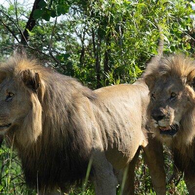 Zambia - Northern Kafue National Park Explorer