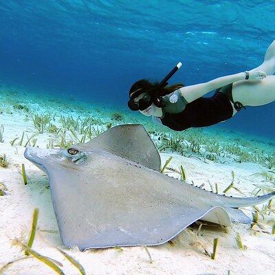 El Cielo Cozumel Snorkeling by Private Boat