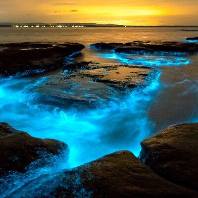 Bioluminescence Clear Kayak or Paddleboard Tour Near Orlando