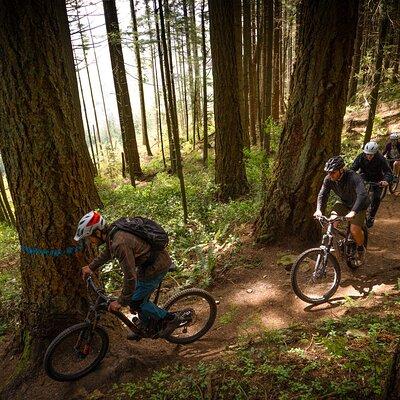 Mountain Bike Half-Day Private Tour 