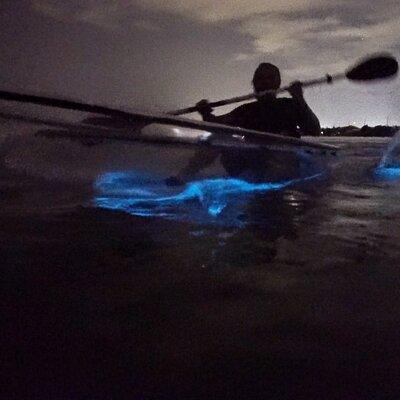 Clear Kayak Bioluminescence Tour