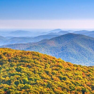 Half-Day Wine Tastings in the North Georgia Mountains 