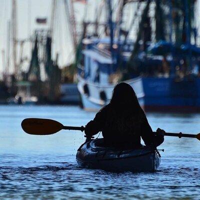 2 Hours Shem Creek Safari Kayak Tour