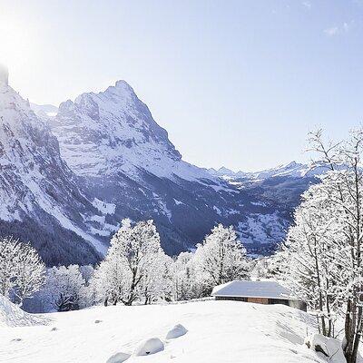 Snowshoe Tour Wetterhorn Grindelwald