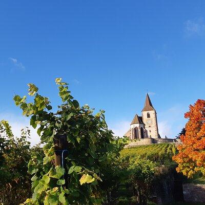 ICONICS Tour: 1/2 day on the Wine Route, visit of 2 Villages + Tasting.