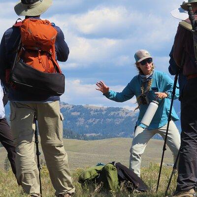 Lamar Valley Safari Hiking Tour with Lunch