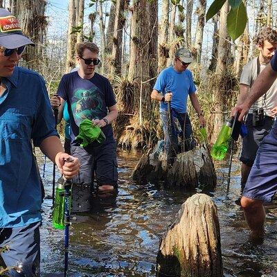 Full Day Everglades: Biologist Led WET walk + 2 boat trips + lunch small group