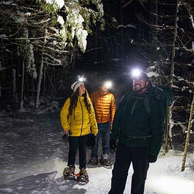 Gatineau Park Nocturnal Snowshoeing Adventure & Dinner - From Ottawa & Gatineau