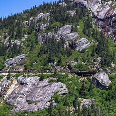 Half-Day Skagway City Tour and White Pass Summit Adventure