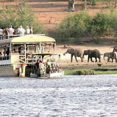 Chobe Day Trip 