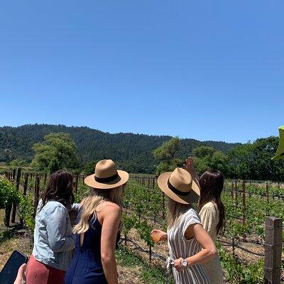 Wine Tour Pros - Napa Wine Tour: SUV Up To 6 Guests