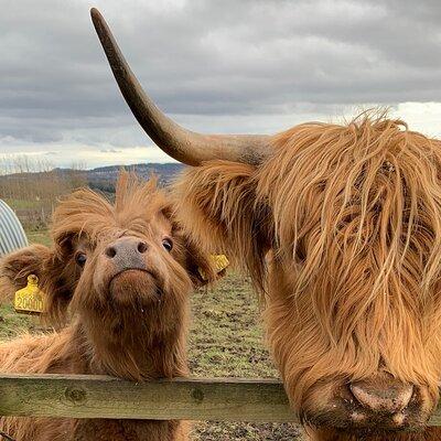 Private Tour of the Scottish Highlands from Edinburgh