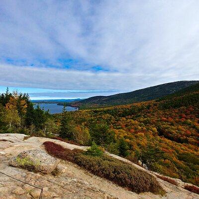 Acadia Full Day Small Group Tour