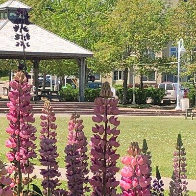 Historic Walking Tour of Charlottetown