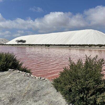 8 Hours Visit to the Camargue and the Salins d’Aigues-Mortes