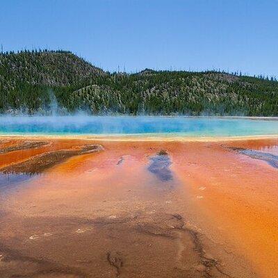 Best Of Yellowstone Full Day Nat'l Park Tour From Bozeman