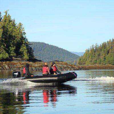 Alaska Marine Fast Boat Adventure 