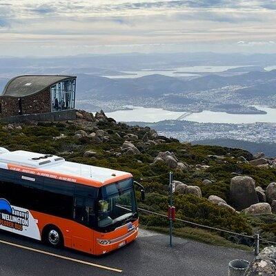 kunanyi/Mt Wellington Explorer Bus- Return Tour (2.5 hours)