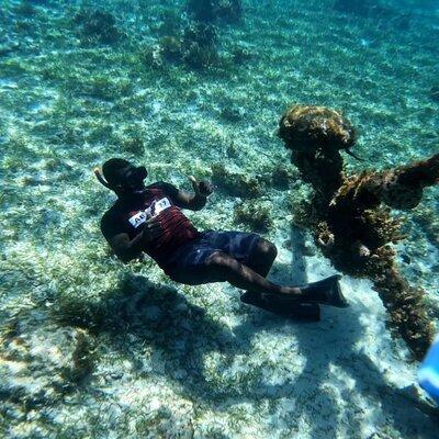 Negril Glass Bottom Boat Tour Snorkeling and Booby Cay